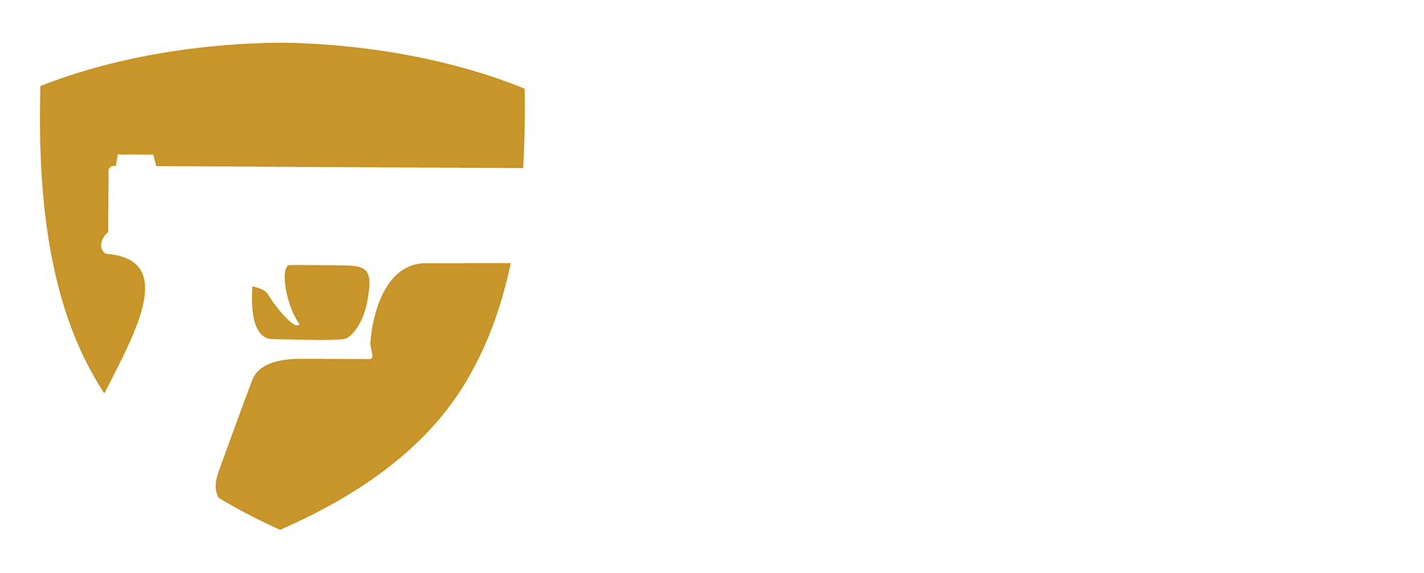 Gun Vault